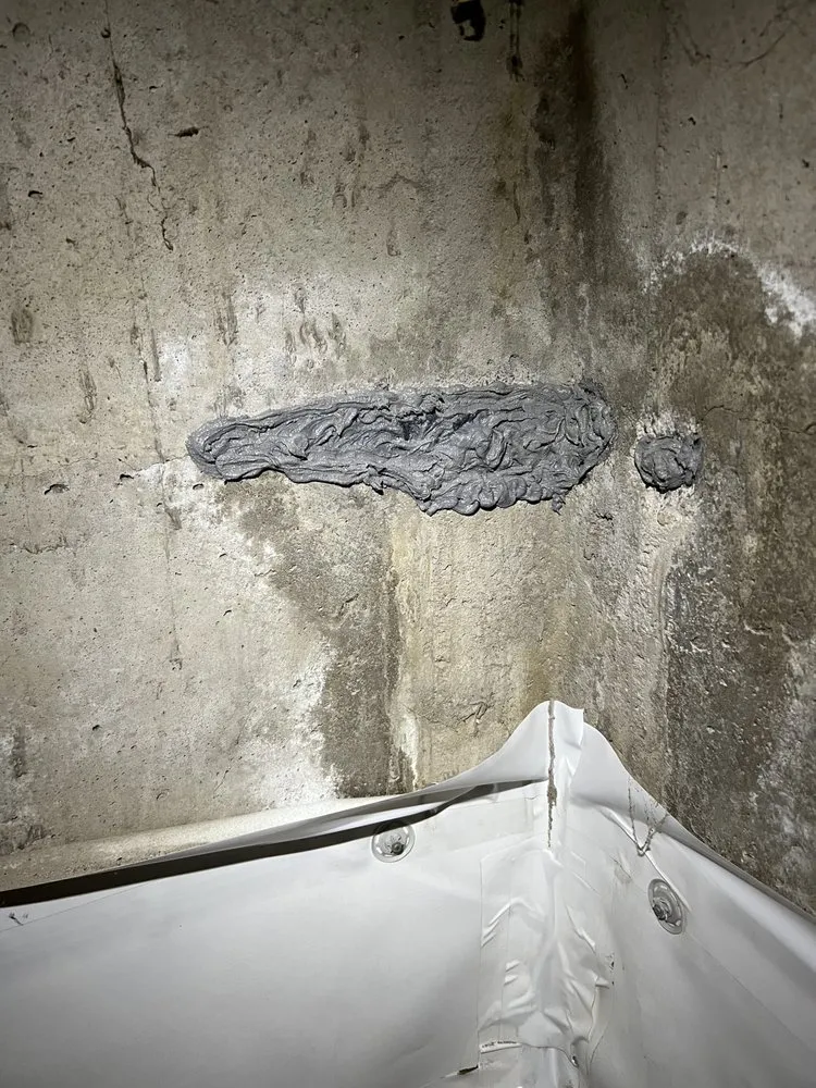 Trusted landscape design in Colorado Springs, CO by Colorado All Trades