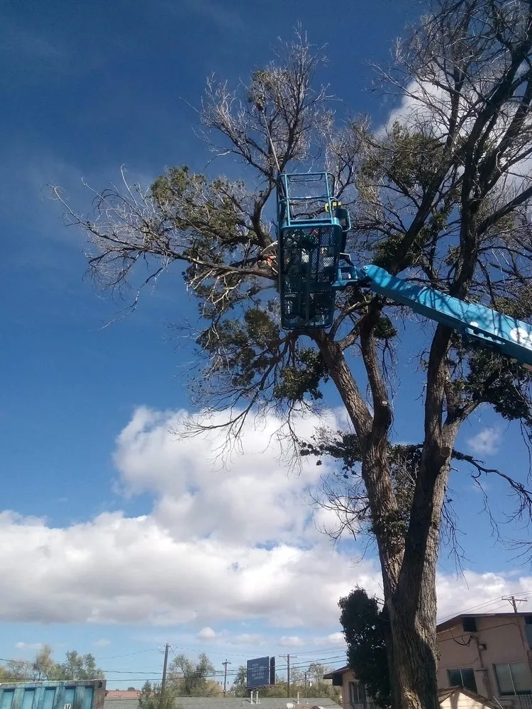 Reliable residential landscaping in Colorado Springs, CO by Colorado All Trades