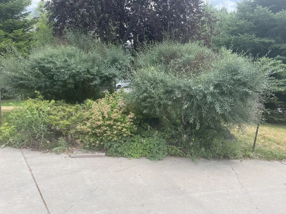 Professional outdoor landscaping in Aspen, CO - Colorado Colours Landscape & Irrigation