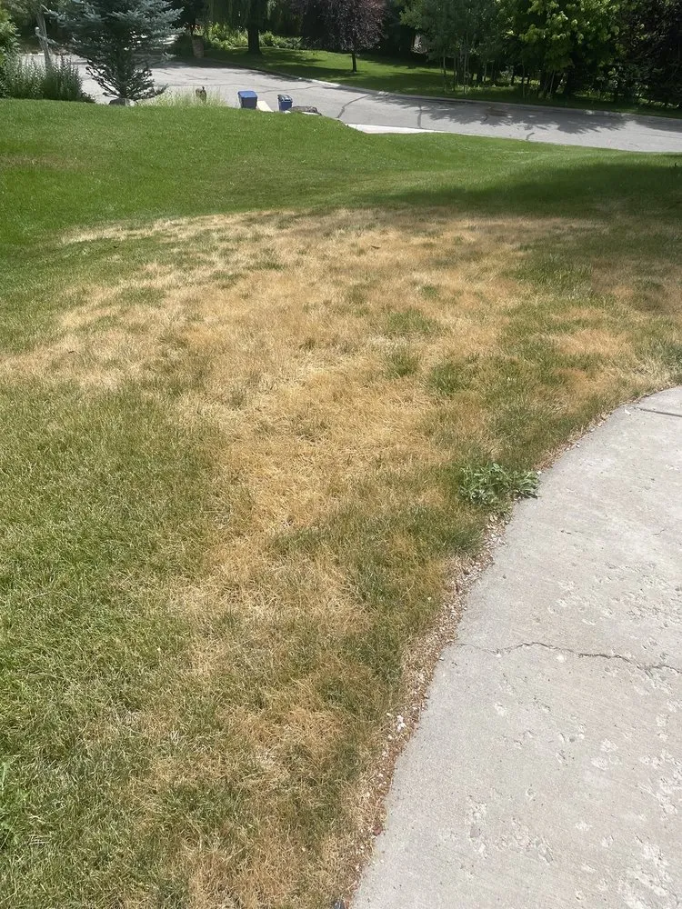 Affordable landscaping services with custom design in Aspen, CO by Colorado Colours Landscape & Irrigation