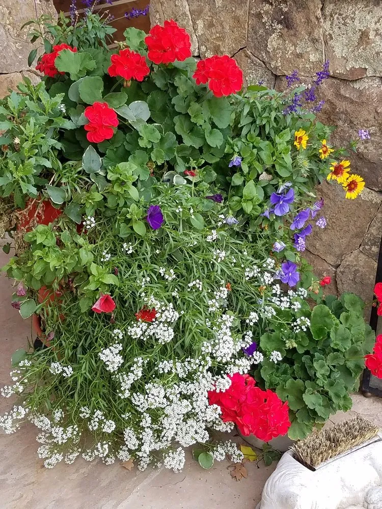 Professional lawn mowing service for residential properties across Aspen, CO - Colorado Colours Landscape & Irrigation