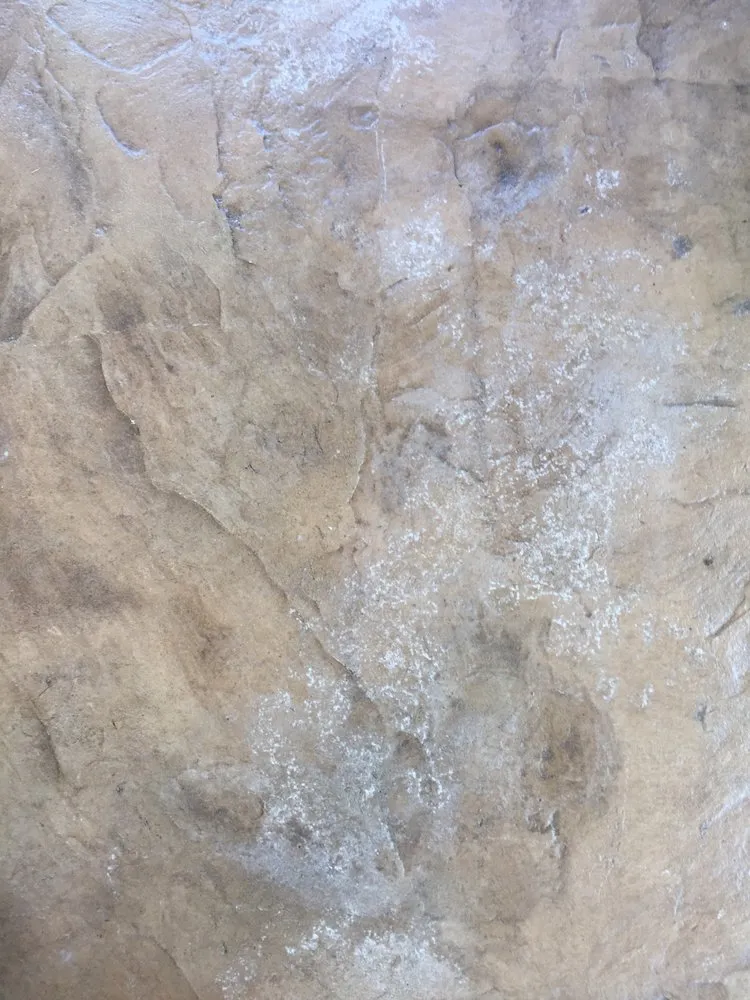 Expert lawn mowing service for year-round maintenance across Littleton, CO - Colorado CurbScapes