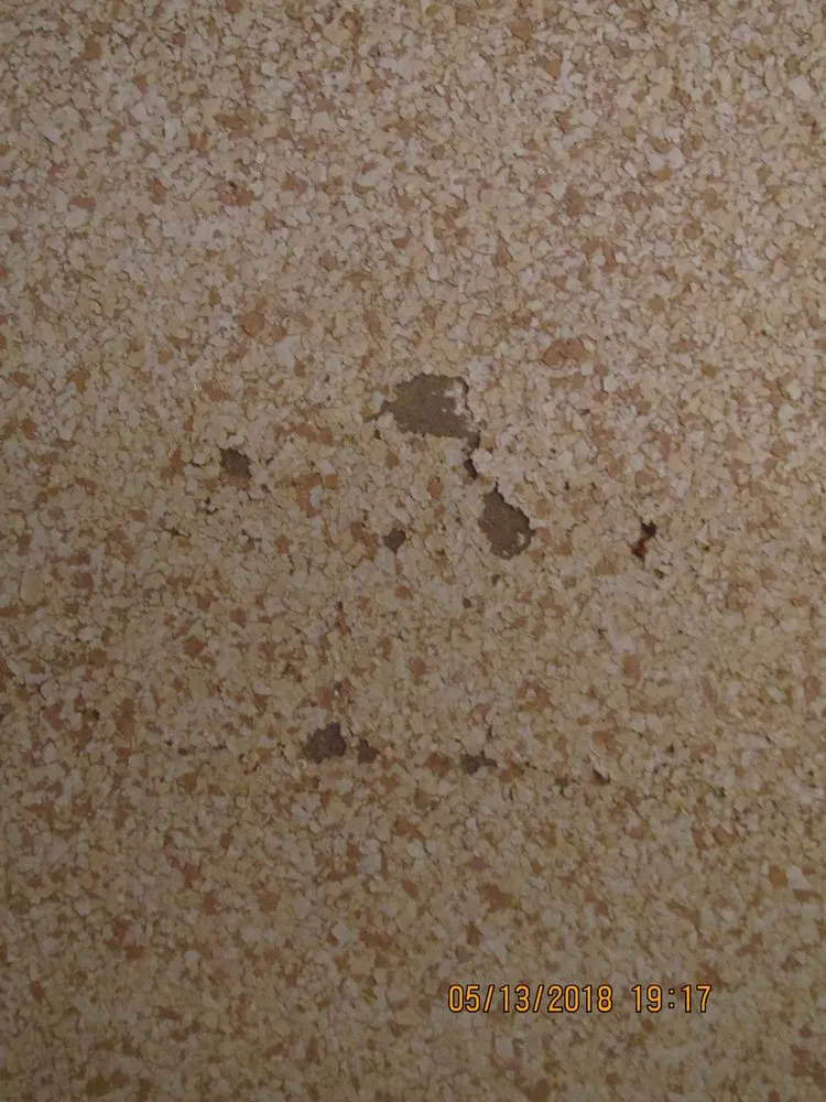 Professional landscaping services for outdoor upgrades across Littleton, CO - Colorado CurbScapes