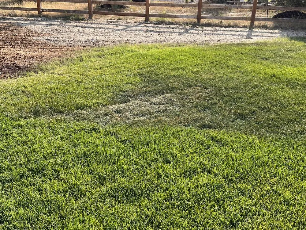 Affordable landscape design experts serving Centennial, CO - Colorado Designscapes