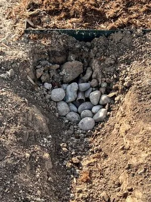 Colorado Designscapes Logo