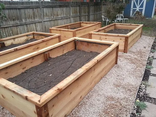 Colorado Ecoscapes and Urban Gardens Logo