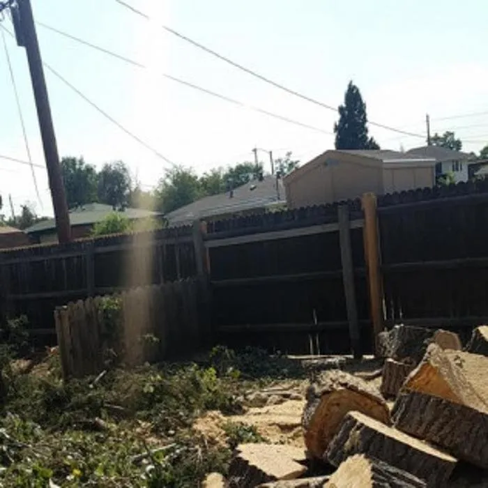 Trusted lawn care service for beautiful yards across Denver, CO - Colorado Land & Tree