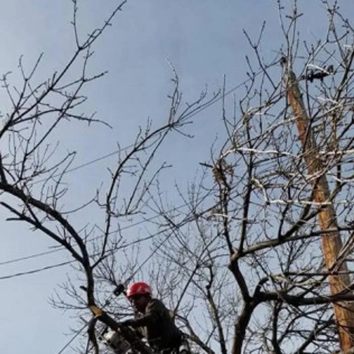 Expert landscape installation for beautiful yards in Denver, CO by Colorado Land & Tree