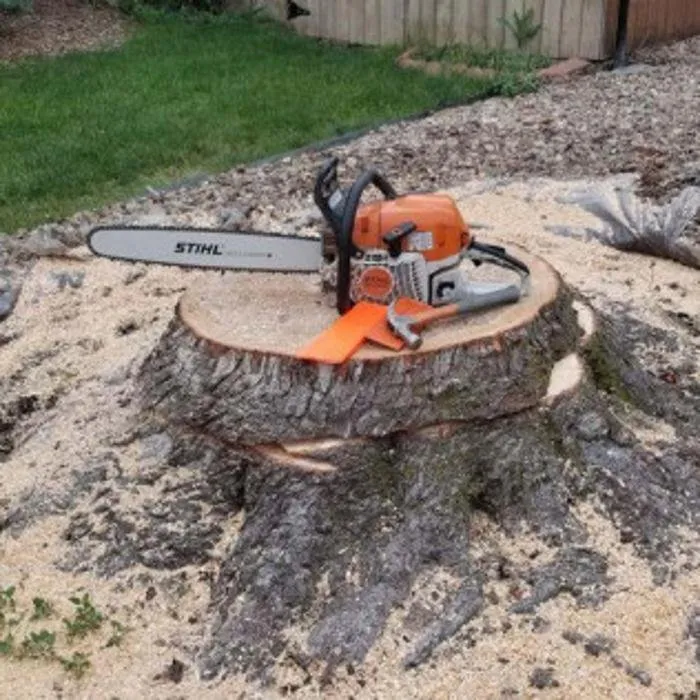 Custom lawn care service in Denver, CO by Colorado Land & Tree