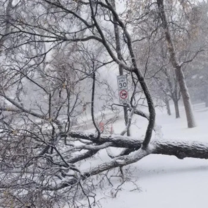 Custom landscape installation for residential properties across Denver, CO - Colorado Land & Tree
