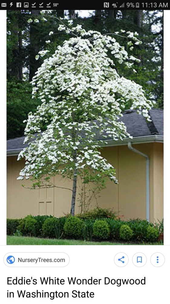 Custom landscaping services in Aurora, CO - Colorado landscape Denver