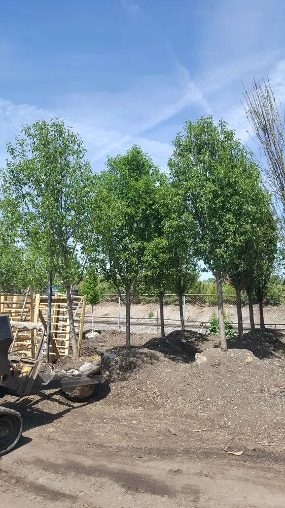 Professional landscape installation experts serving Aurora, CO - Colorado landscape Denver