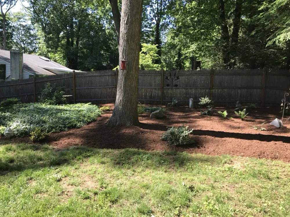 Affordable yard cleanup service experts serving Darien, CT - Colorado Landscaper