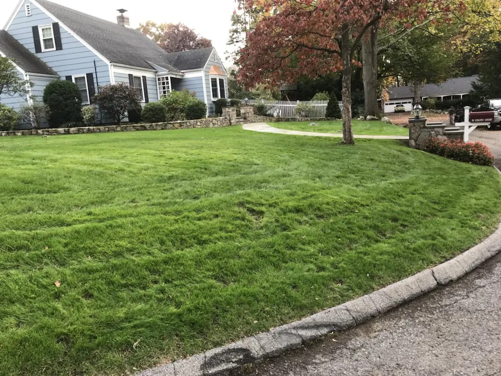 Professional residential landscaping in Darien, CT by Colorado Landscaper