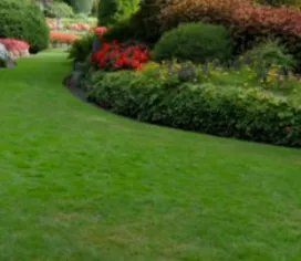 Top-rated outdoor landscaping for outdoor upgrades across Darien, CT - Colorado Landscaper