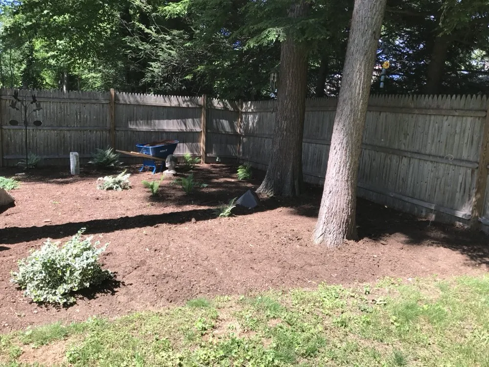 Top-rated yard cleanup service for outdoor upgrades across Darien, CT - Colorado Landscaper