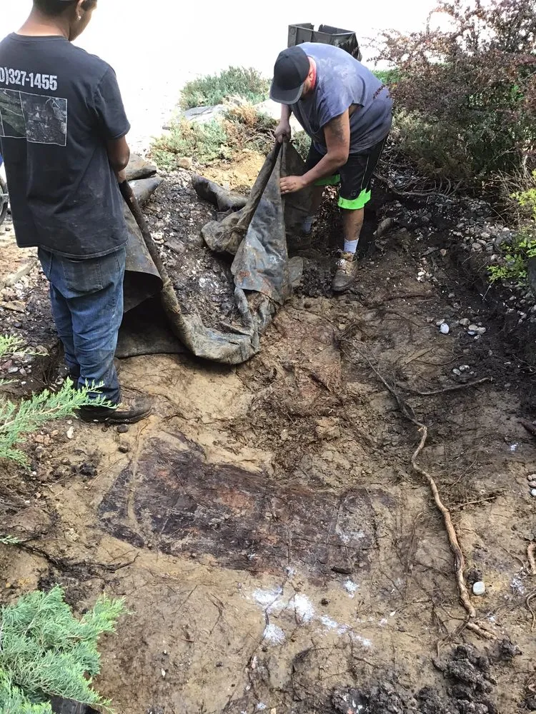 Trusted garden landscaping near you across Aurora, CO - Colorado Landscaping & Pond Services