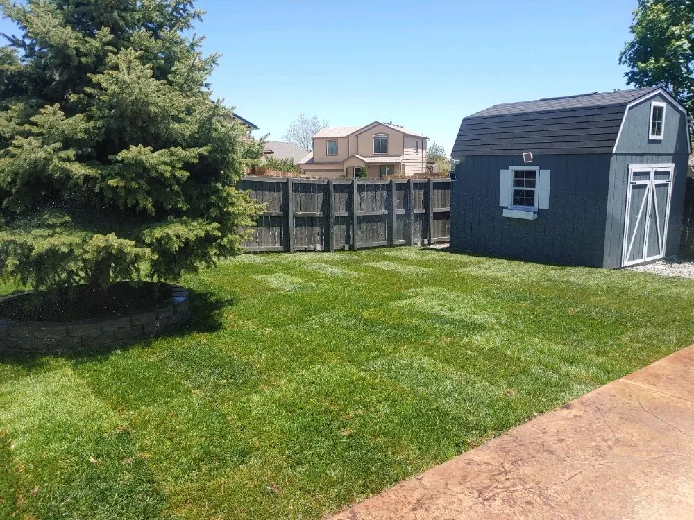 Local yard maintenance for beautiful yards across Colorado Springs, CO - Colorado Landscaping And Lawn Maintenance