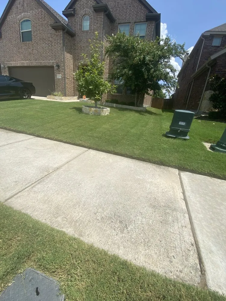 Professional garden landscaping for outdoor upgrades in Celina, TX by Colorado Landscaping