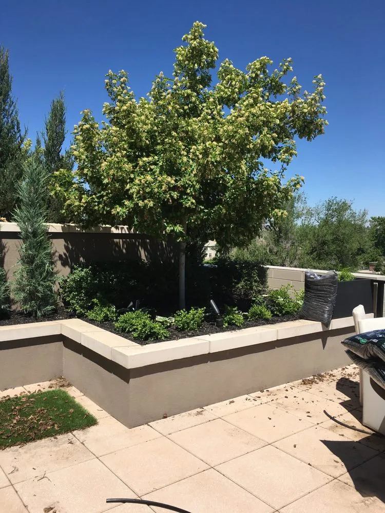 Expert yard maintenance in Golden, CO by Colorado Landscaping