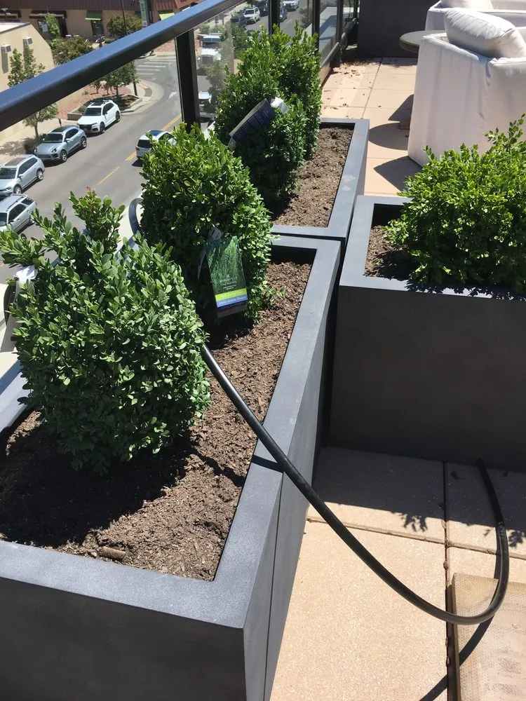 Top-rated garden landscaping experts serving Golden, CO - Colorado Landscaping