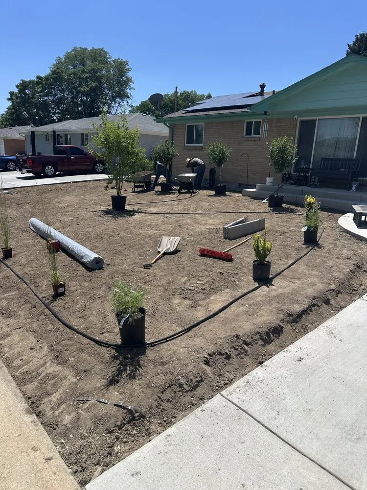 Expert lawn care service in Arvada, CO - Colorado Lawn & Landscape Services