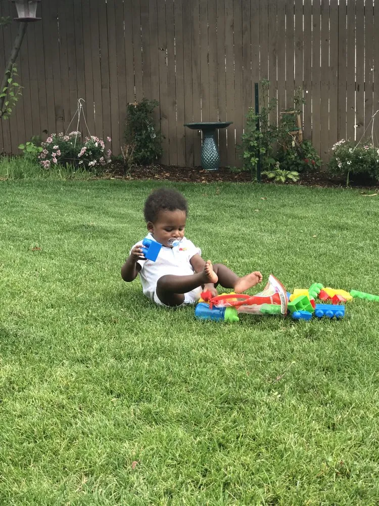 Expert outdoor landscaping in Colorado Springs, CO by Colorado Lawn Care & Cleanup
