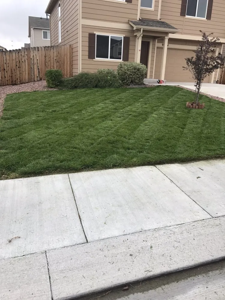 Local outdoor landscaping for homes in Colorado Springs, CO by Colorado Lawn Care & Cleanup