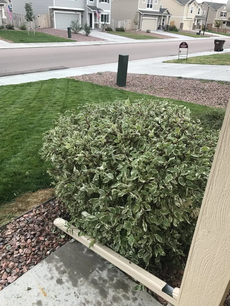 Trusted residential landscaping with custom design in Colorado Springs, CO by Colorado Lawn Care & Cleanup
