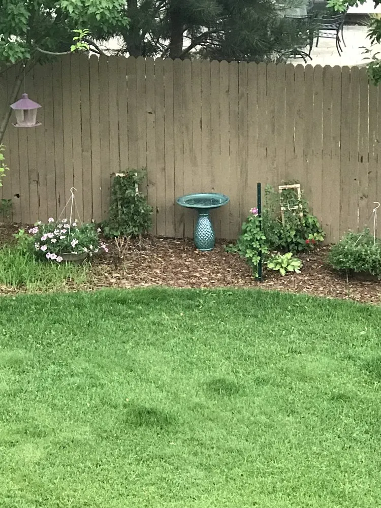 Affordable landscaping services in Colorado Springs, CO - Colorado Lawn Care & Cleanup