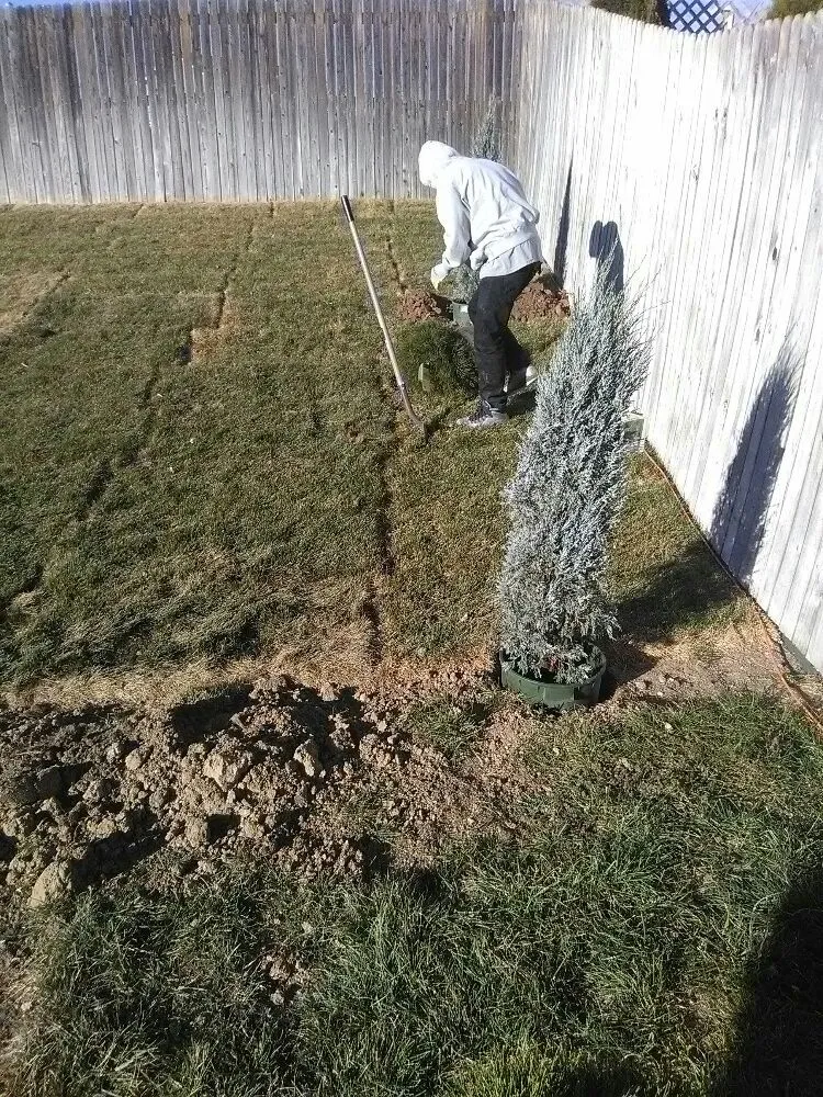Top-rated landscape design for year-round maintenance across Colorado Springs, CO - Colorado Lawn Care & Cleanup