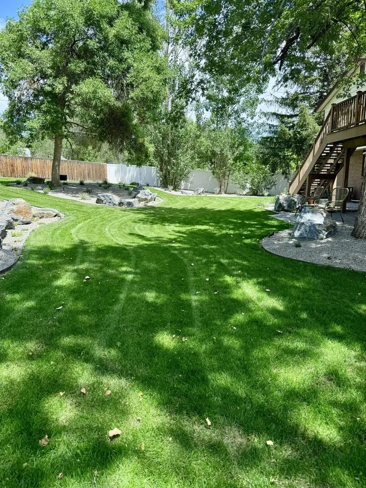 Reliable landscape installation in Arvada, CO by Colorado Native Landscapes & Design