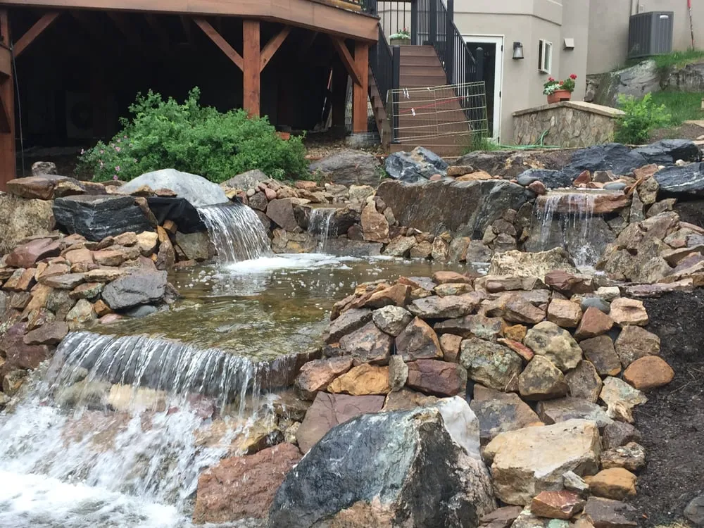 Professional yard cleanup service in Evergreen, CO - Colorado Nature Design