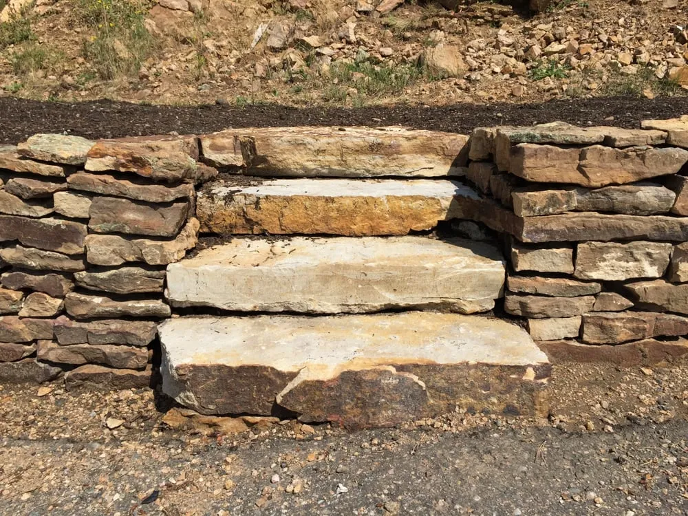 Professional lawn care service in Evergreen, CO - Colorado Nature Design