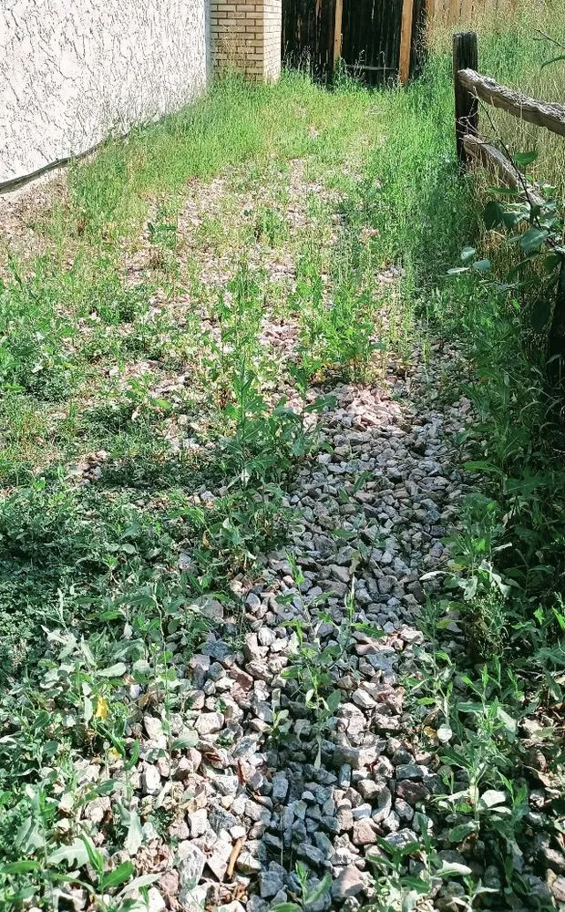 Top-rated lawn care service near you across Colorado Springs, CO - Colorado Own Landscaping