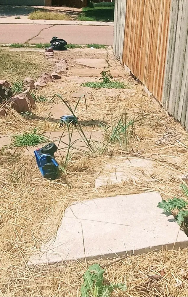 Reliable lawn mowing service for residential properties across Colorado Springs, CO - Colorado Own Landscaping