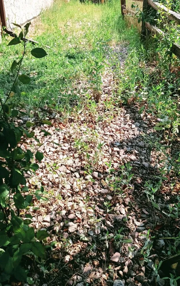 Expert outdoor landscaping in Colorado Springs, CO by Colorado Own Landscaping