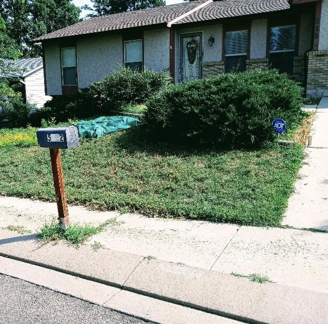 Reliable yard maintenance for year-round maintenance across Colorado Springs, CO - Colorado Own Landscaping