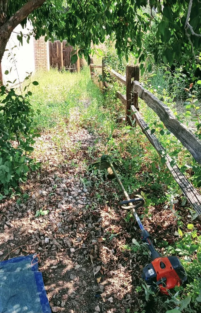 Professional outdoor landscaping with custom design across Colorado Springs, CO - Colorado Own Landscaping