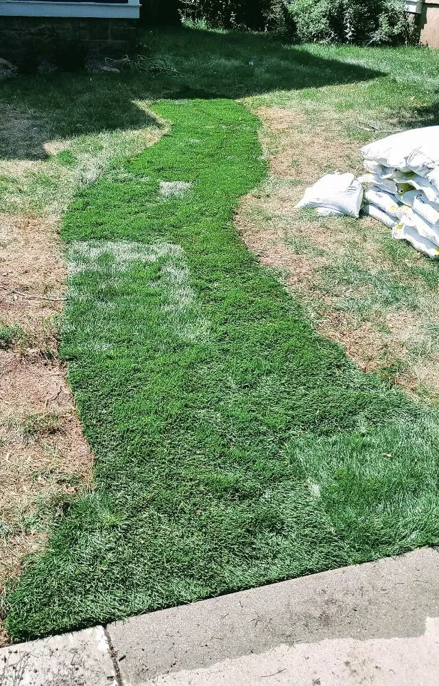 Local landscaping services experts serving Colorado Springs, CO - Colorado Own Landscaping