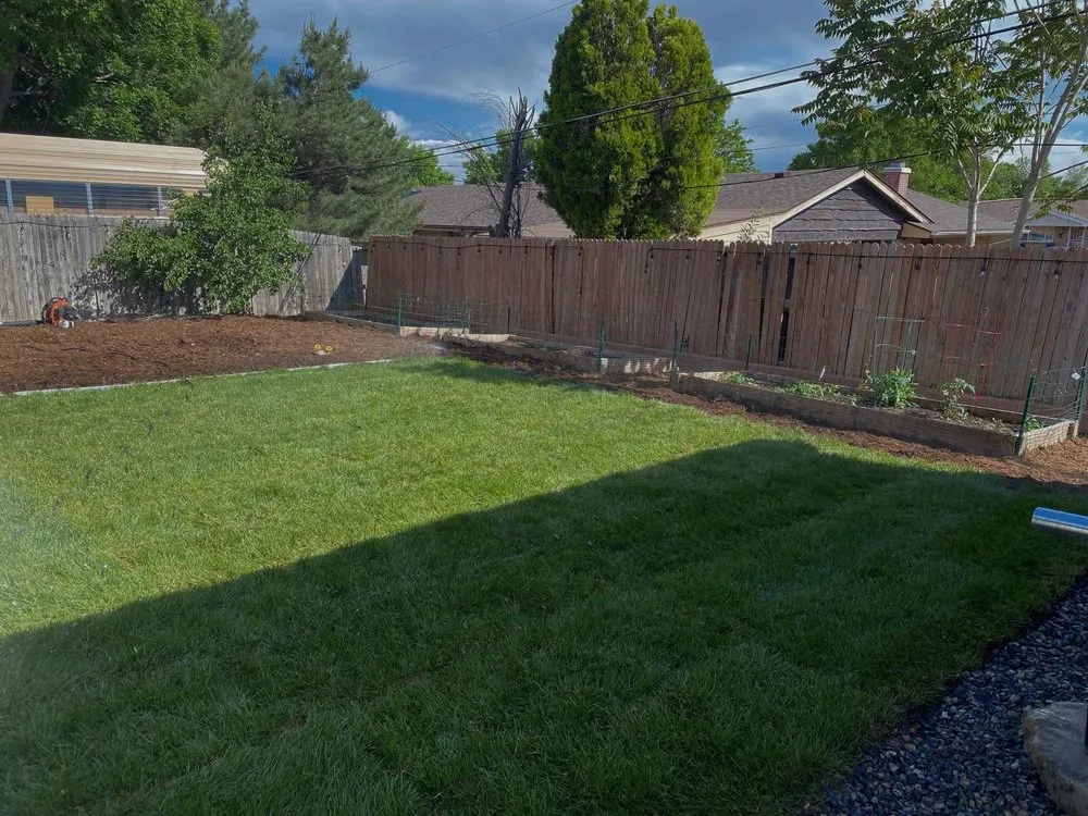 Professional yard cleanup service with custom design in Denver, CO by Colorado Pine Landscape