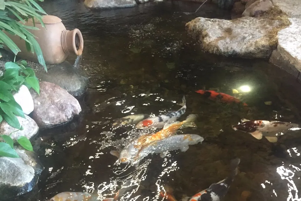 Custom lawn care service in Longmont, CO by Colorado Pond Pros