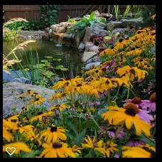 Custom lawn mowing service for outdoor upgrades across Longmont, CO - Colorado Pond Pros