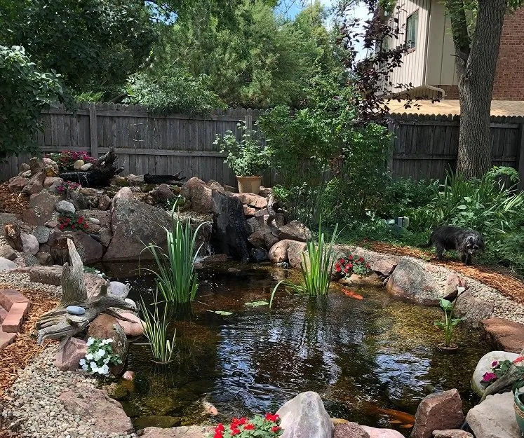 Custom landscape installation for year-round maintenance in Longmont, CO by Colorado Pond Pros