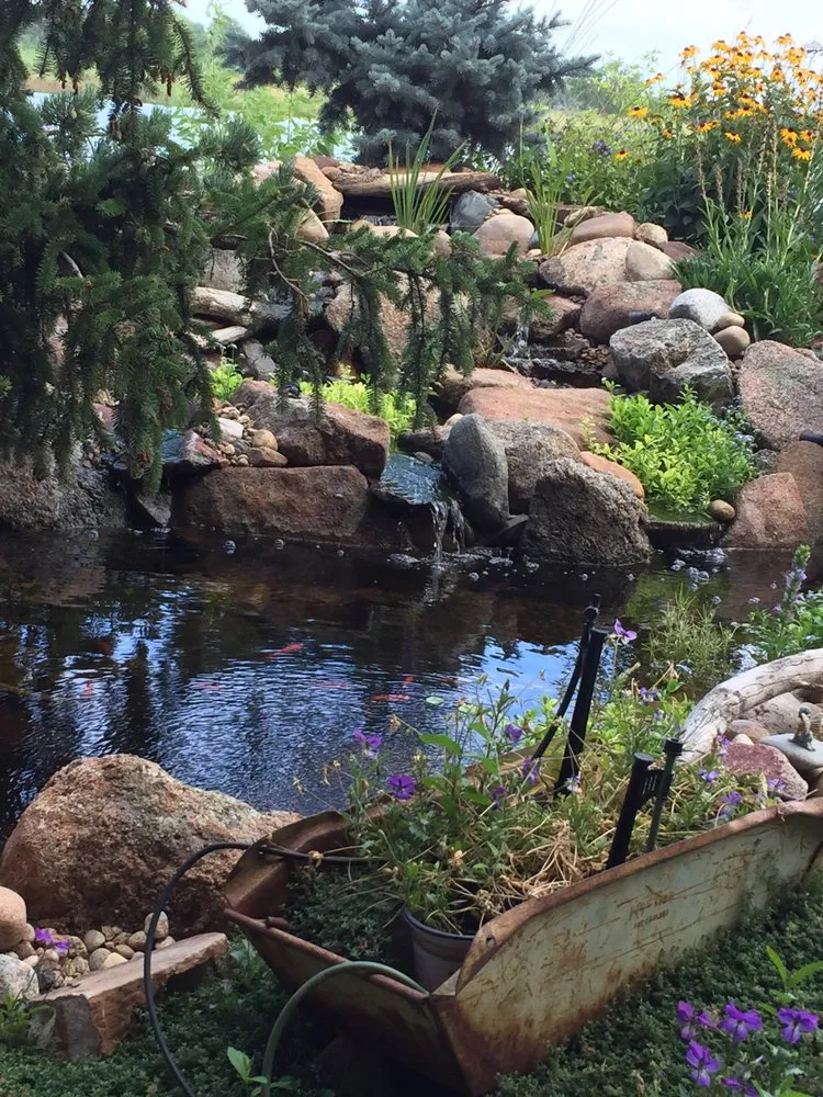 Expert yard cleanup service experts serving Longmont, CO - Colorado Pond Pros