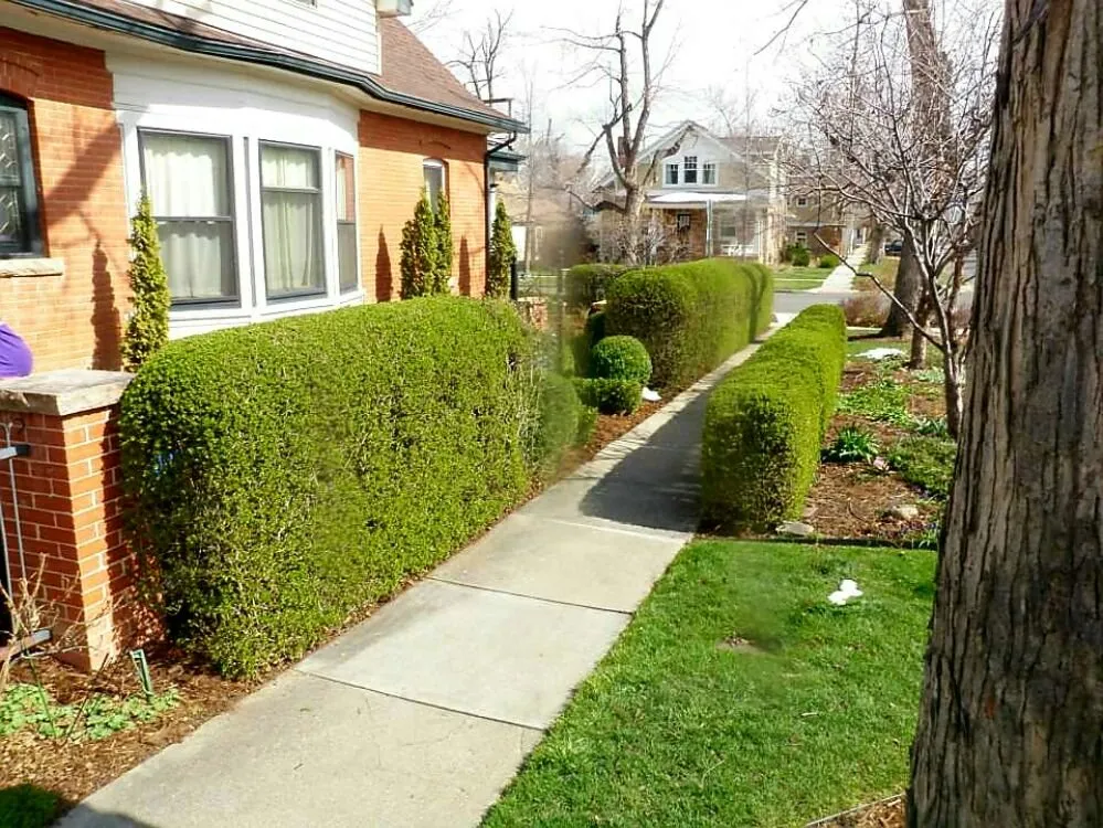 Custom landscape installation in Johnstown, CO by Colorado Scapes