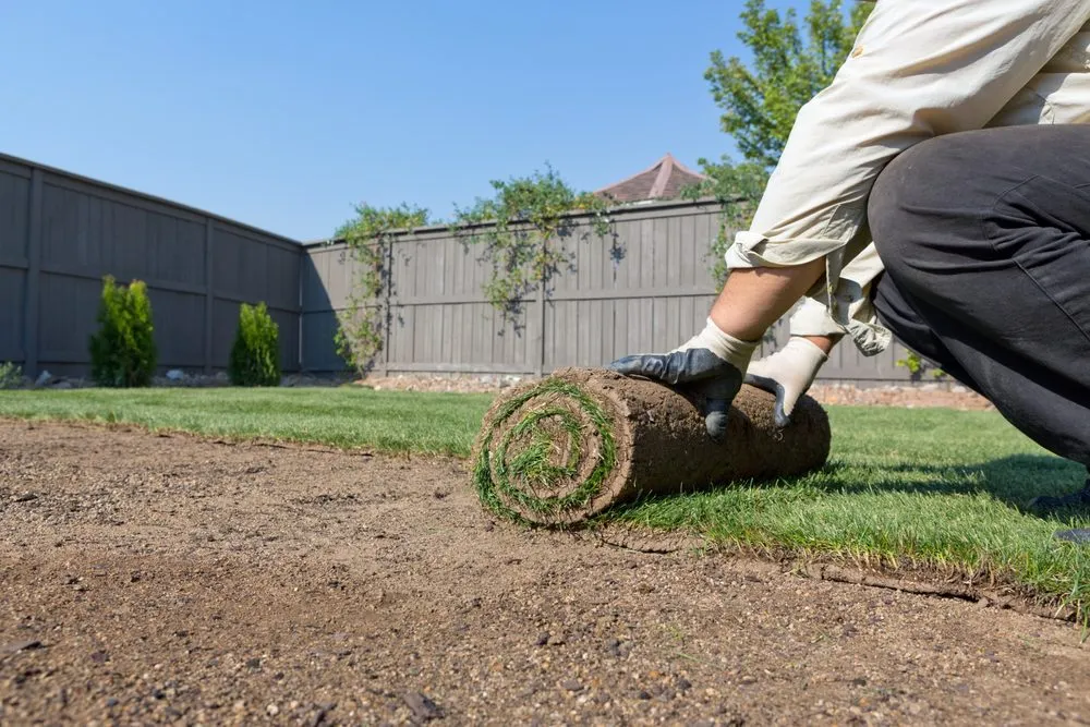 Reliable lawn mowing service with custom design across Thornton, CO - Colorado Sprinkler Repair