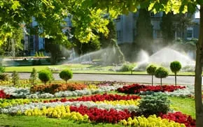 Local yard maintenance experts serving Lakewood, CO - Colorado Sprinkler Service