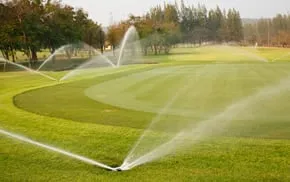 Expert yard cleanup service for homes across Lakewood, CO - Colorado Sprinkler Service