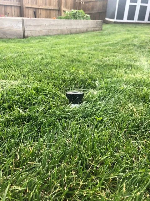 Trusted landscape installation near you in Lakewood, CO by Colorado State Landscape & Design